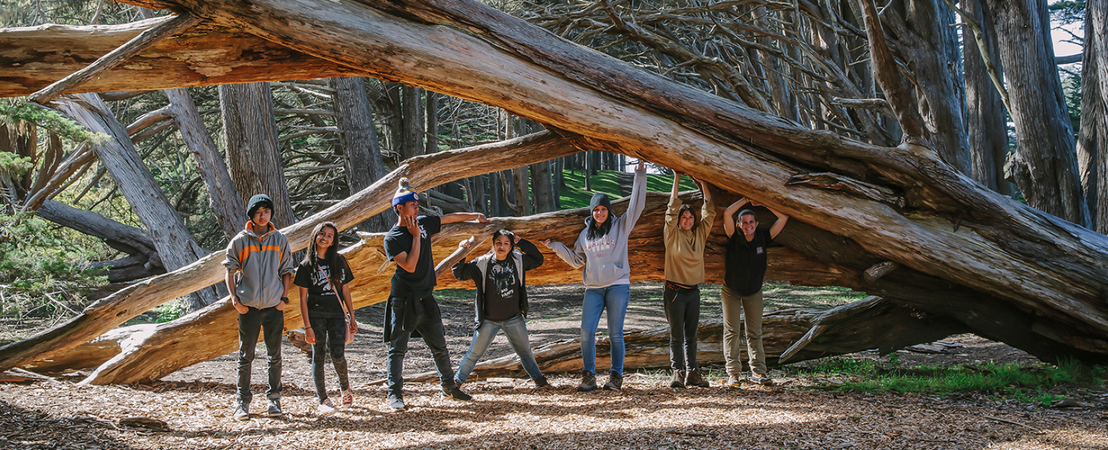 Kids and Tree