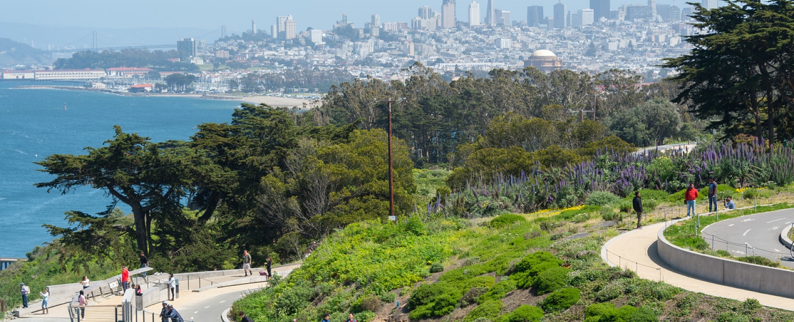 Park view in front of cityscape