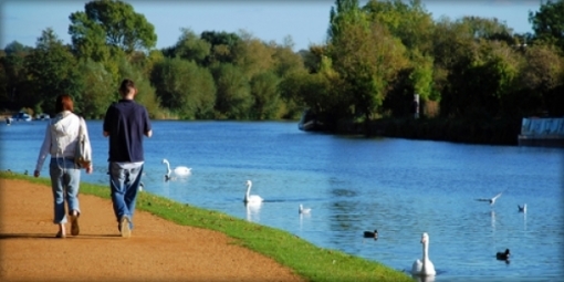 People walking by water